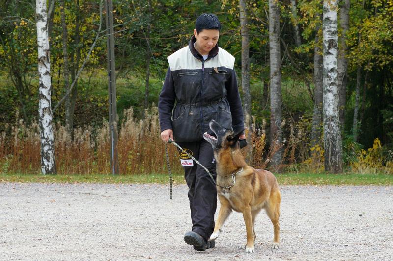 PK kurssi (27).jpg